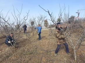 鄉(xiāng)村振興工作動態(tài)(第155期)