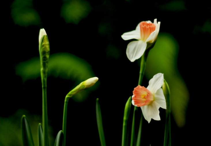 大家都做生態(tài)文明建設(shè)的實(shí)踐者、推動(dòng)者（生態(tài)論苑）