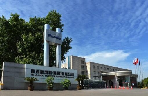 【陜鼓集團(tuán)】陜鼓集團(tuán)上榜“2022年度中國(guó)鋼鐵品牌榜”，獲“卓越鋼鐵技術(shù)與服務(wù)供應(yīng)商品牌”榮譽(yù)稱(chēng)號(hào)