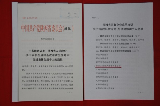 2009年2月，被陜西省委、省政府授予陜西省國有企業(yè)改革攻堅(jiān)先進(jìn)集體