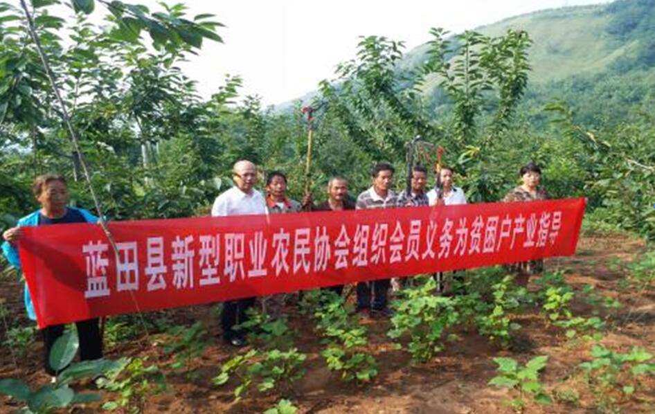 扶貧工作動態(tài)（第四十六期）