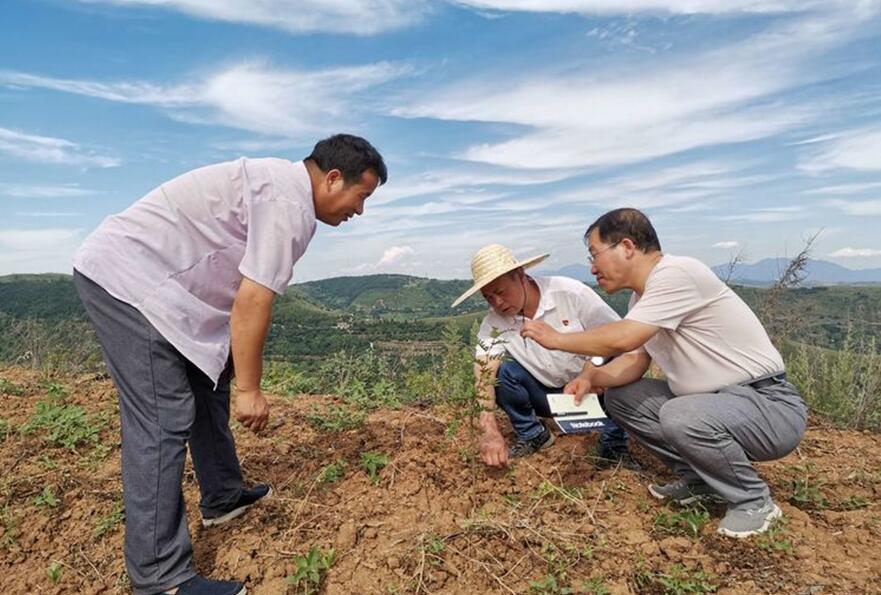 1567675373219720.jpg 1567675373219720.jpg