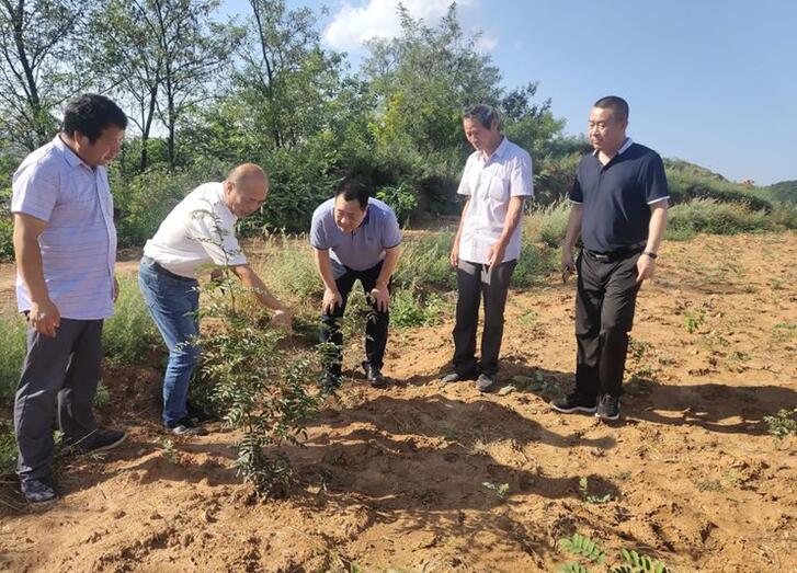 1567675773108052.jpg 1567675773108052.jpg