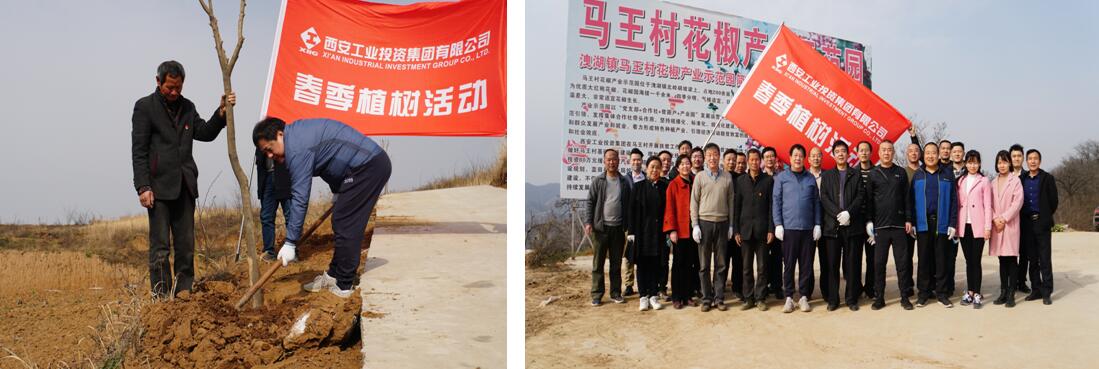 1586252147985384.jpg 1586252147985384.jpg